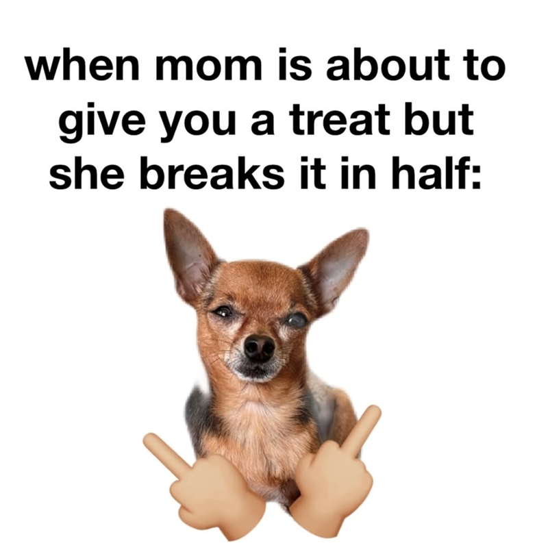 when mom is about to give you a treat but she breaks it in half: