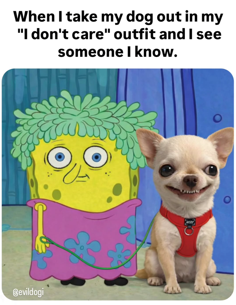 When I take my dog out in my "I don't care" outfit and I see someone I know. @evildogi