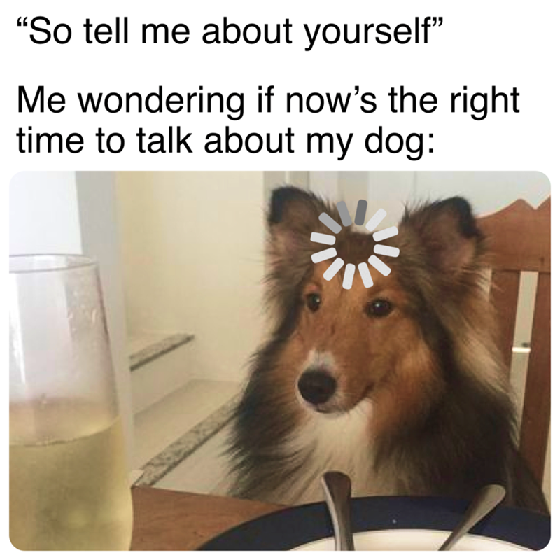 "So tell me about yourself" Me wondering if now's the right time to talk about my dog: