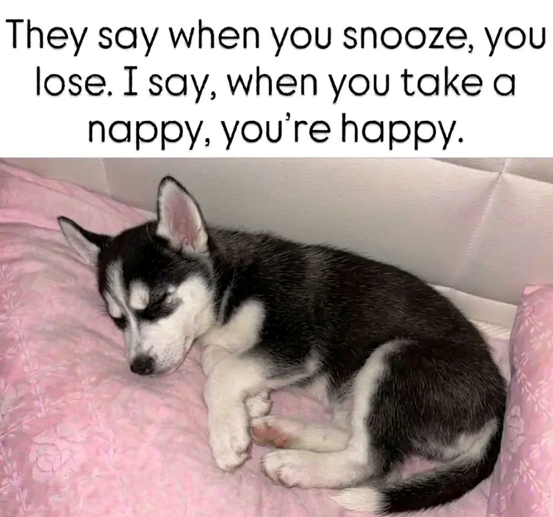 They say when you snooze, you lose. I say, when you take a nappy, you're happy.