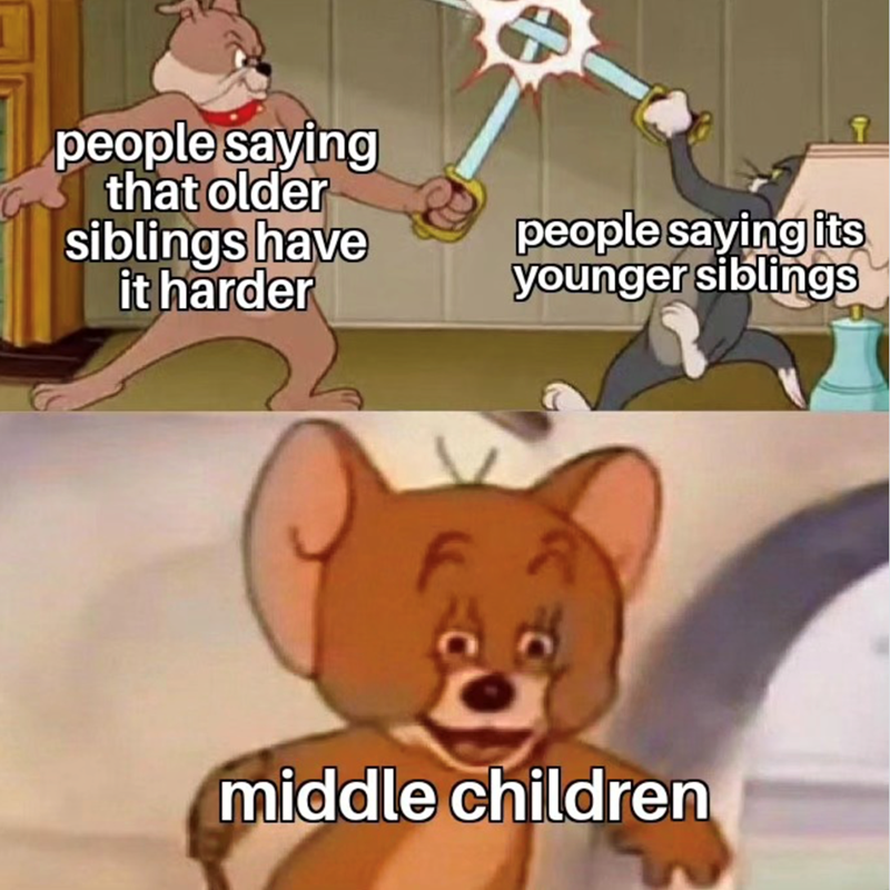 people saying that older siblings have it harder people saying its younger siblings middle children