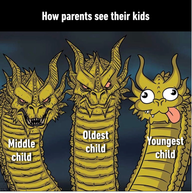 19 How parents see their kids Oldest Middle child Youngest child child