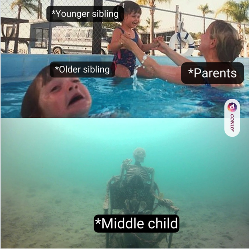 *Younger sibling *Older sibling *Parents *Middle child E CONI0r