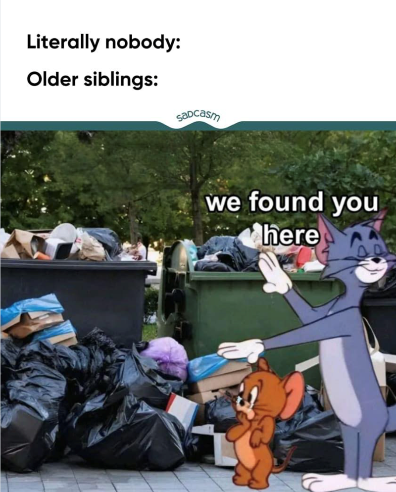 Literally nobody: Older siblings: Sadcasm we found you here
