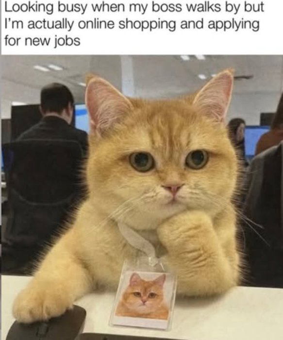Looking busy when my boss walks by but I'm actually online shopping and applying for new jobs