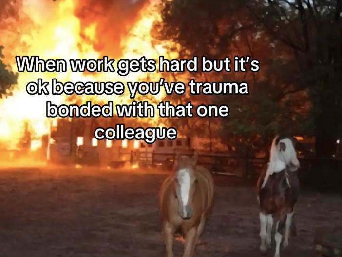 When work gets hard but it's ok because you've trauma bonded with that one colleague
