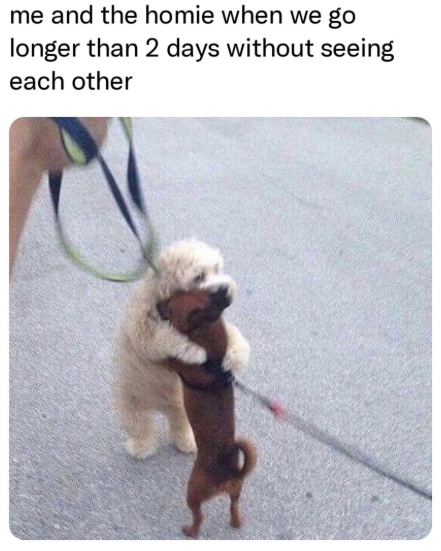 me and the homie when we go longer than 2 days without seeing each other