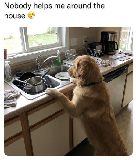 Nobody helps me around the house