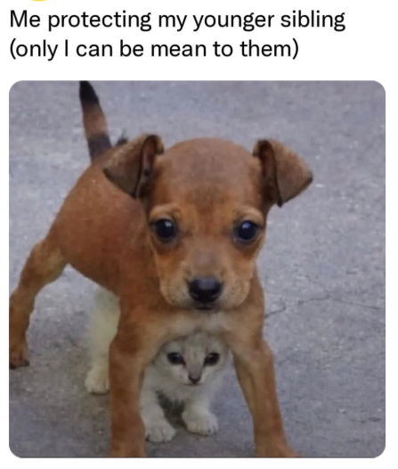 Me protecting my younger sibling (only I can be mean to them)