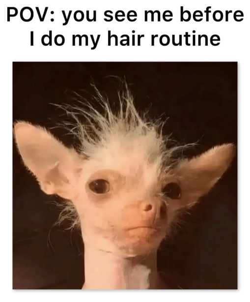 POV: you see me before I do my hair routine