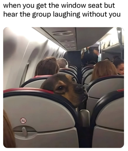 when you get the window seat but hear the group laughing without you