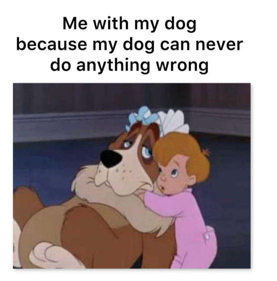 Me with my dog because my dog can never do anything wrong