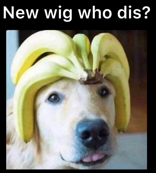 New wig who dis?