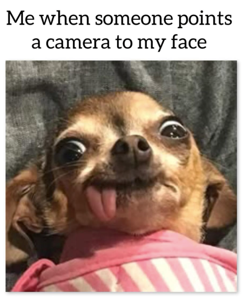 Me when someone points a camera to my face