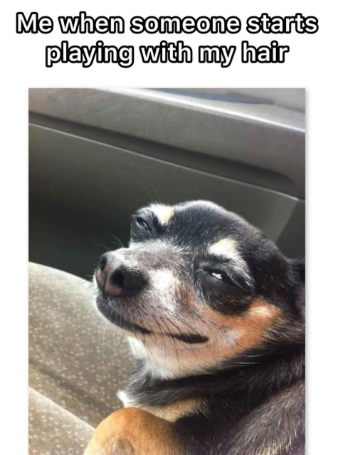 Me when someone starts playing with my hair
