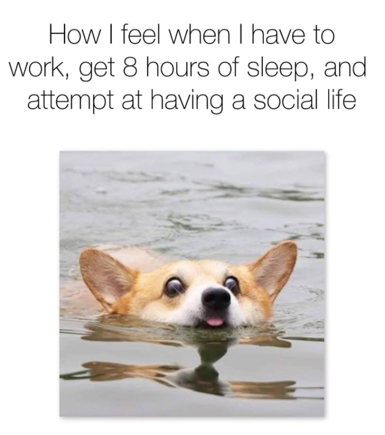 How I feel when I have to work, get 8 hours of sleep, and attempt at having a social life.