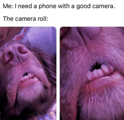 Me: I need a phone with a good camera. The camera roll: