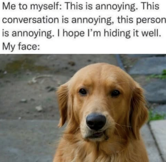 Me to myself: This is annoying. This conversation is annoying, this person is annoying. I hope I'm hiding it well. My face: