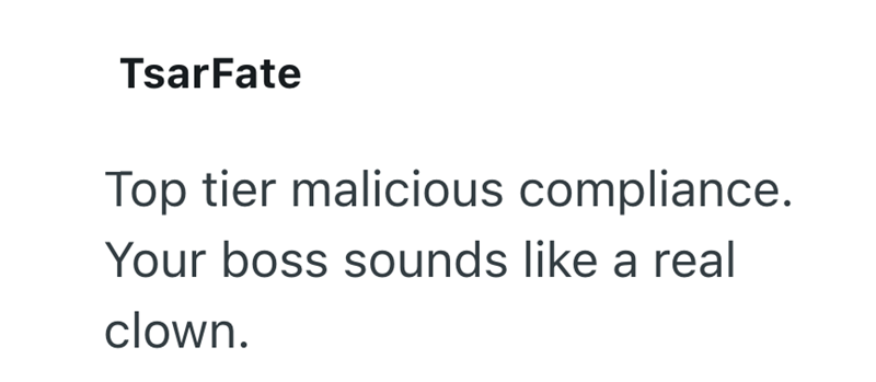 TsarFate Top tier malicious compliance. Your boss sounds like a real clown.