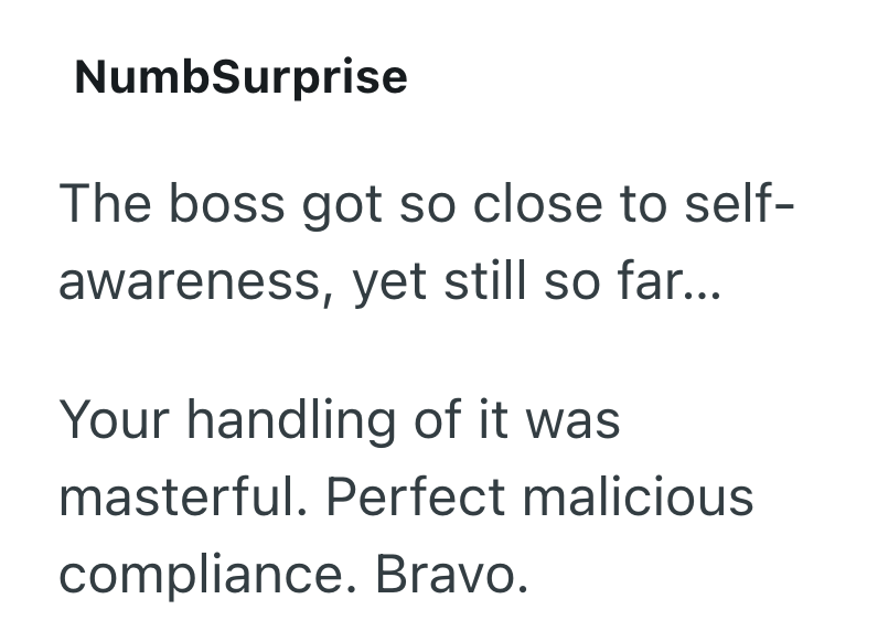 NumbSurprise The boss got so close to self- awareness, yet still so far... Your handling of it was masterful. Perfect malicious compliance. Bravo.