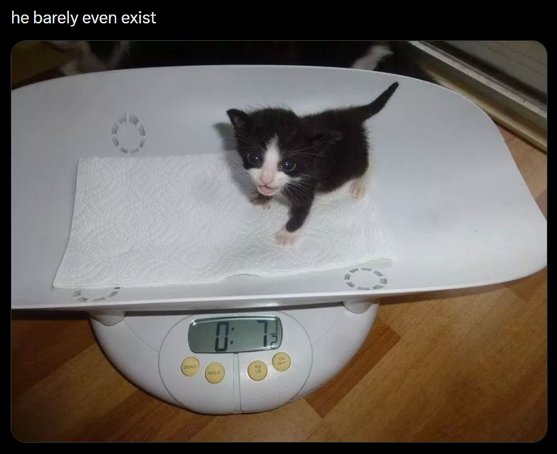he barely even exist дно HOLD 38
