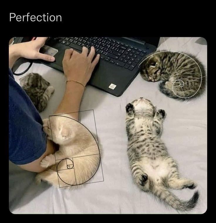 Perfection