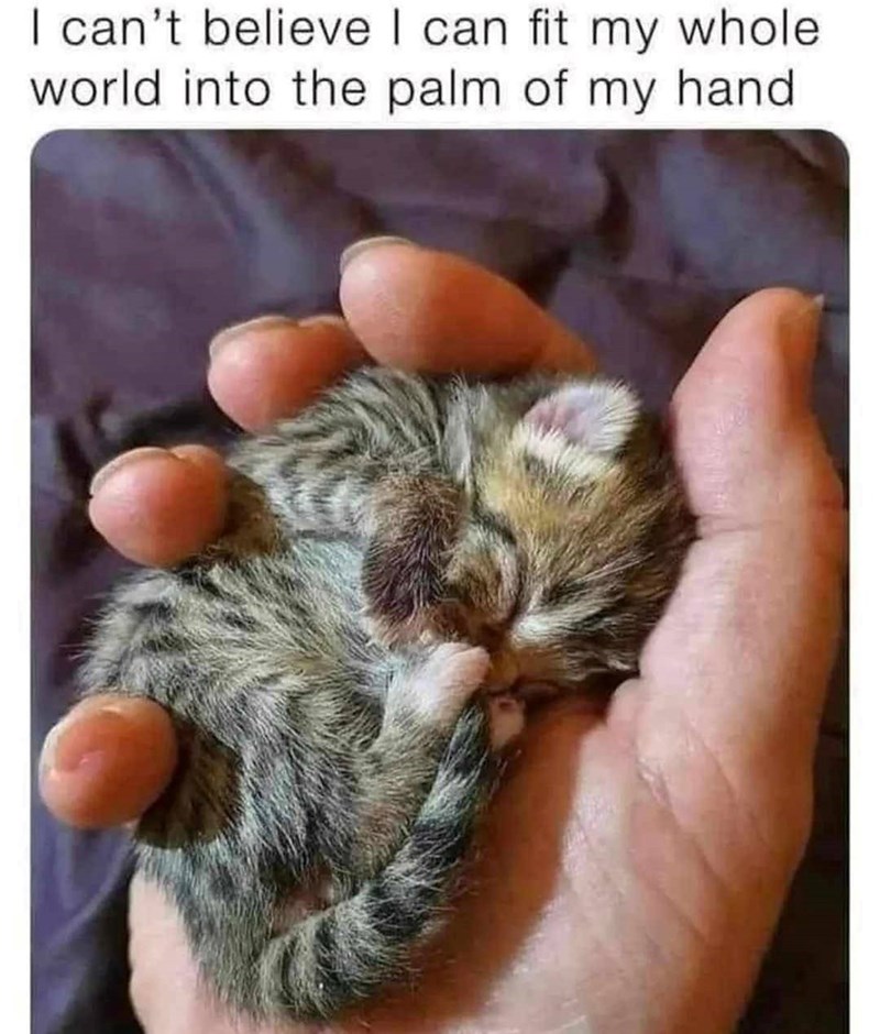 I can't believe I can fit my whole world into the palm of my hand