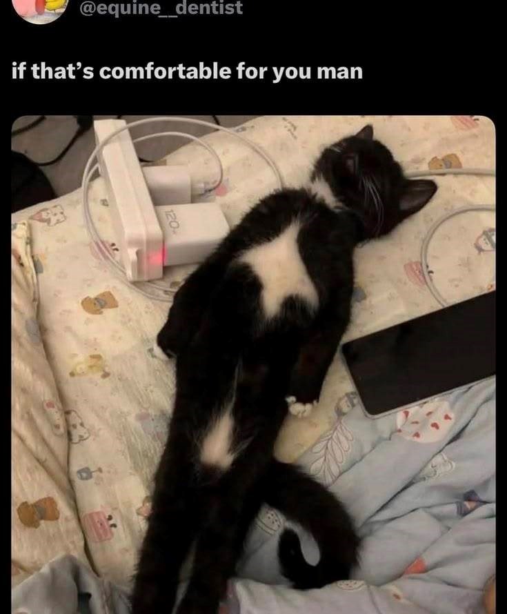 @equine_dentist if that's comfortable for you man 120
