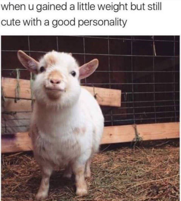 when u gained a little weight but still cute with a good personality