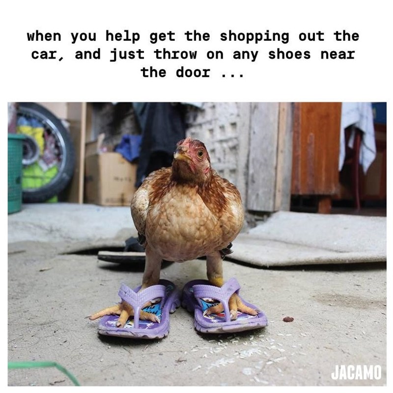 when you help get the shopping out the car, and just throw on any shoes near the door .. JACAMO