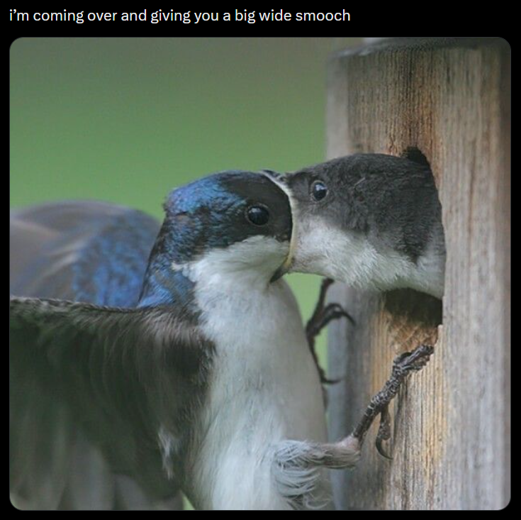 i'm coming over and giving you a big wide smooch