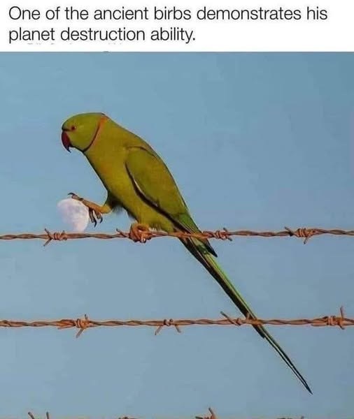 One of the ancient birbs demonstrates his planet destruction ability.