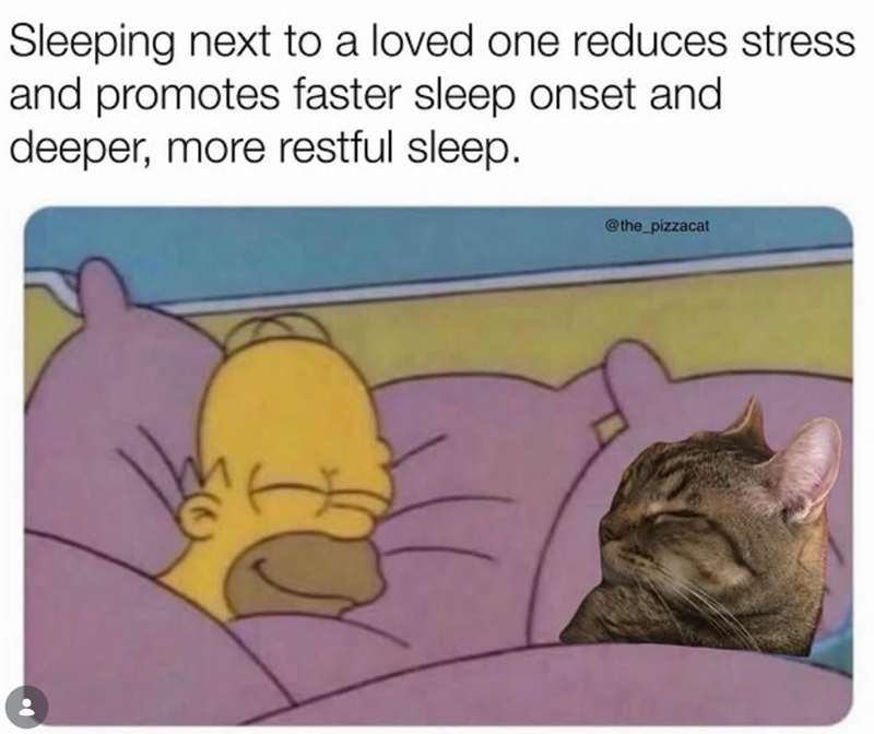 Sleeping next to a loved one reduces stress and promotes faster sleep onset and deeper, more restful sleep. @the_pizzacat