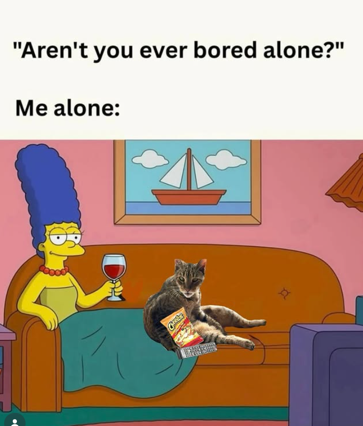 "Aren't you ever bored alone?" Me alone: DH Cheetas