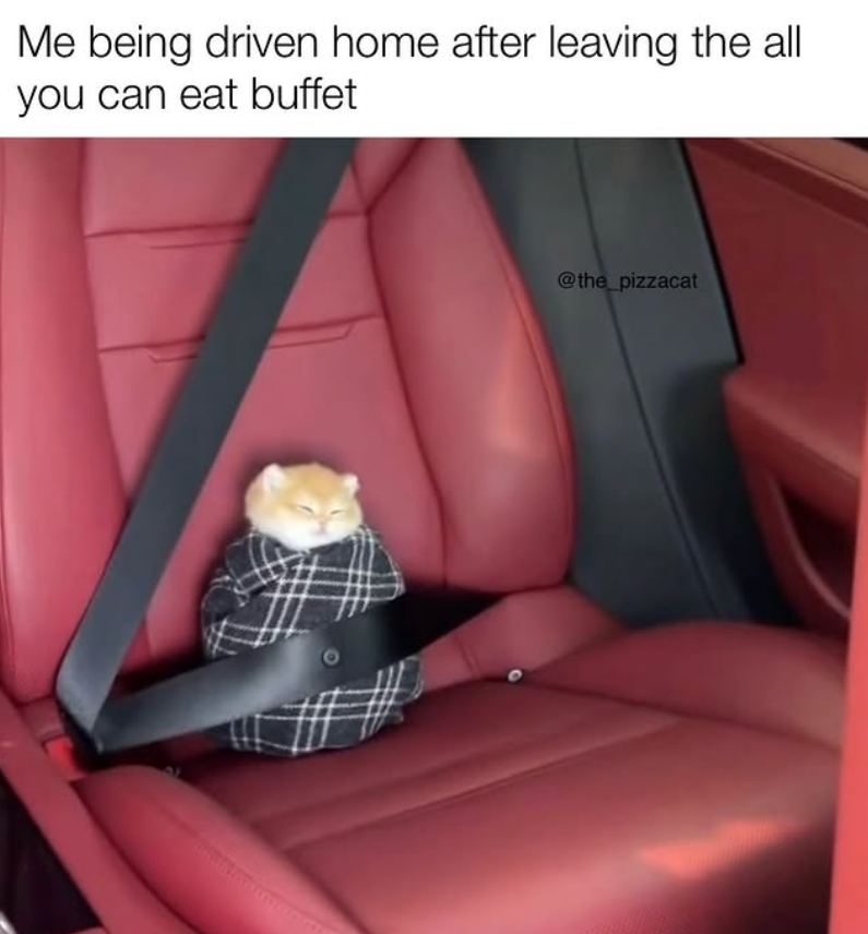 Me being driven home after leaving the all you can eat buffet @the_pizzacat