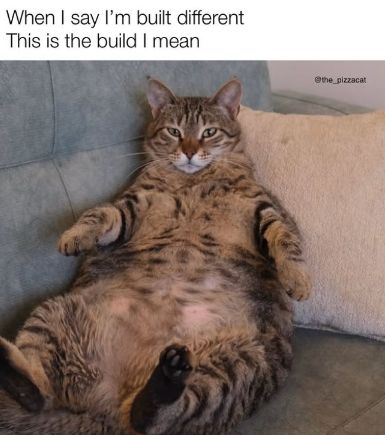 When I say I'm built different This is the build I mean @the_pizzacat