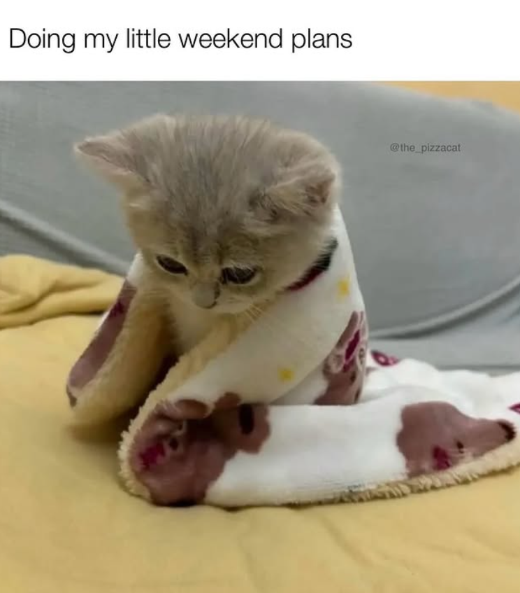 Doing my little weekend plans @the_pizzacat