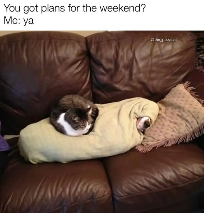 You got plans for the weekend? Me: ya @the_pizzacat