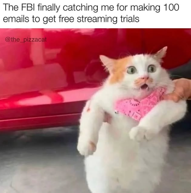 The FBI finally catching me for making 100 emails to get free streaming trials @the_pizzacat