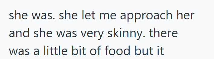 she was. she let me approach her and she was very skinny. there was a little bit of food but it