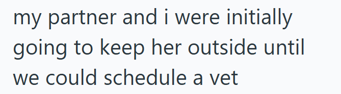 my partner and i were initially going to keep her outside until we could schedule a vet