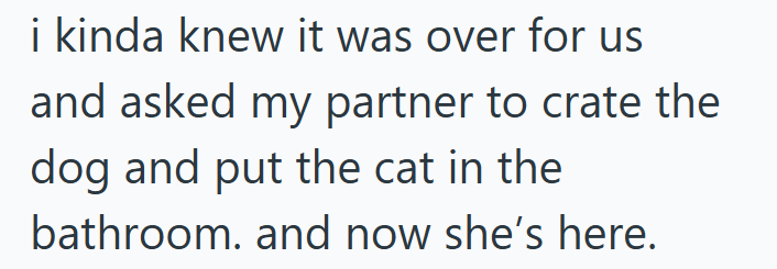 i kinda knew it was over for us and asked my partner to crate the dog and put the cat in the bathroom. and now she's here.