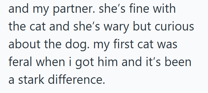 and my partner. she's fine with the cat and she's wary but curious about the dog. my first cat was feral when i got him and it's been a stark difference.