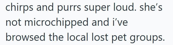 chirps and purrs super loud. she's not microchipped and i've browsed the local lost pet groups.