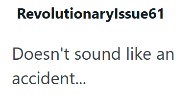 Revolutionarylssue61 Doesn't sound like an accident...