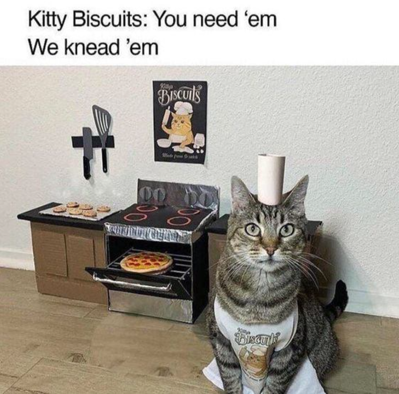 Kitty Biscuits: You need 'em We knead 'em BISCUITS Wedekk 80 Kittys Bizanti