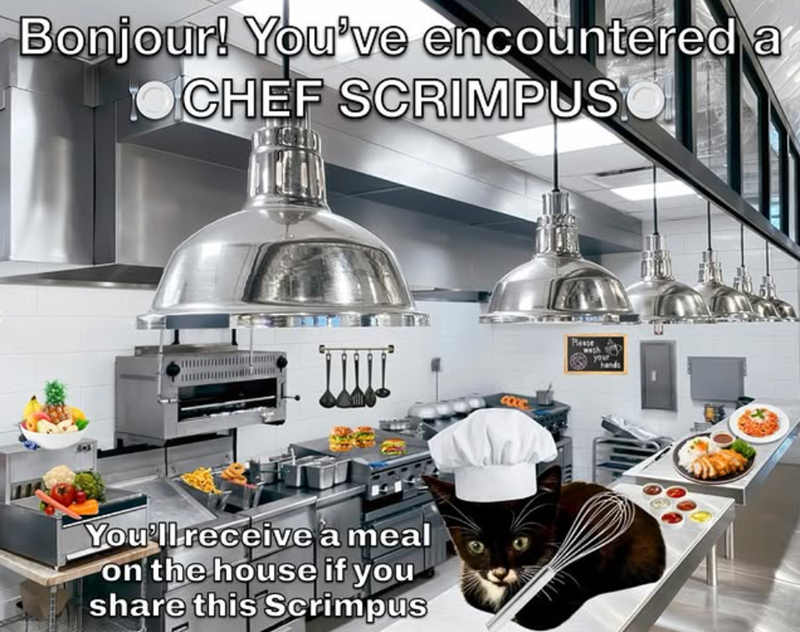 Bonjour! You've encountered a OCHEF SCRIMPUS You'll receive a meal on the house if you share this Scrimpus COOC Please your hands