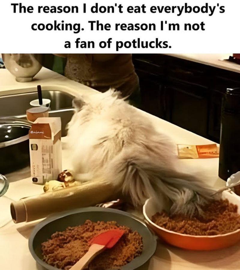The reason I don't eat everybody's cooking. The reason I'm not a fan of potlucks. @ninni