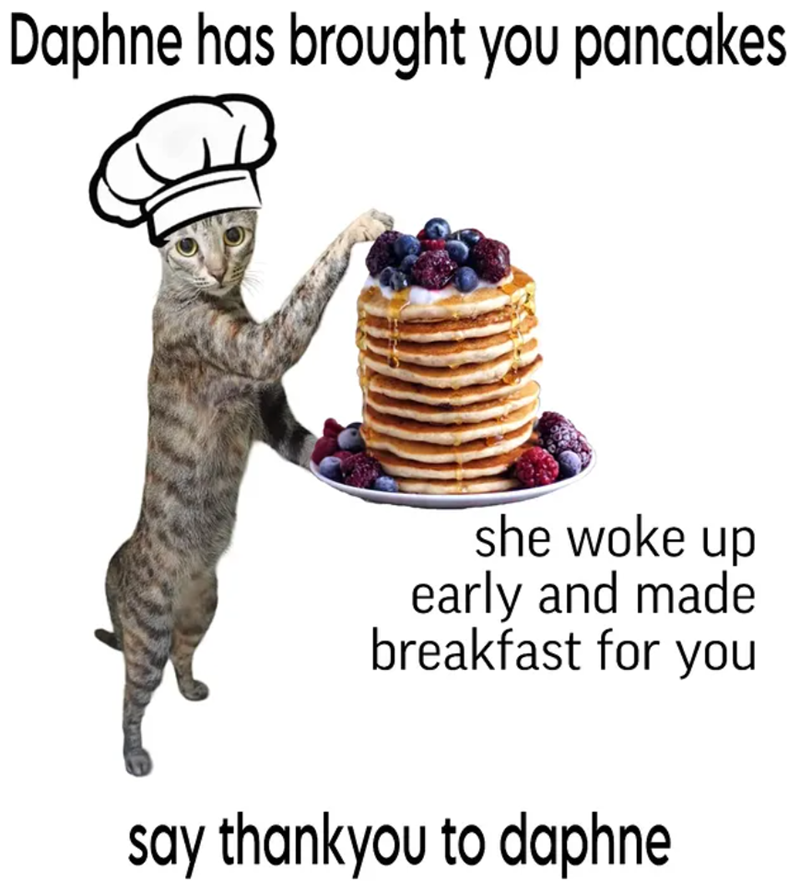 Daphne has brought you pancakes she woke up early and made breakfast for you say thankyou to daphne