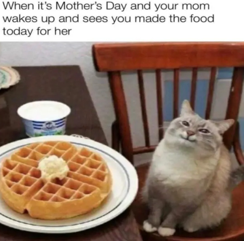 When it's Mother's Day and your mom wakes up and sees you made the food today for her